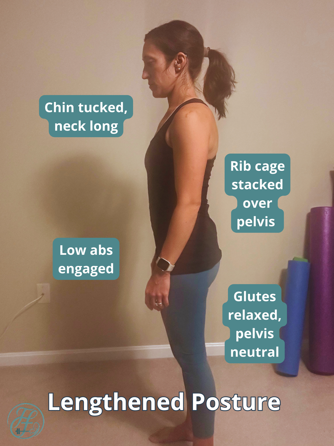 Rib cage stacked over pelvis
